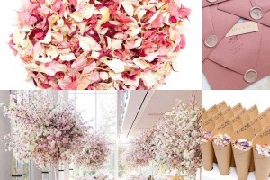 Biodegradable Wedding Confetti and Wedding Confetti Cones At A Pink, Blush Wedding