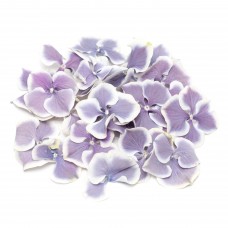 Amethyst Flake Hydrangea Petals
