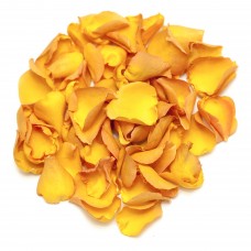 Autumn Rose Petals