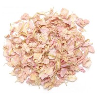 Cotton Candy Larkspur Petals