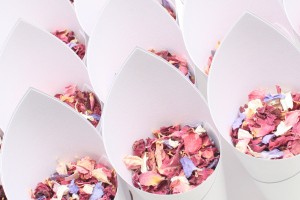 Our Cheapest Wedding Confetti Packages