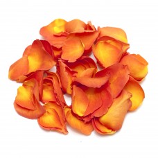 Sunset Rose Petals