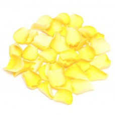Sunshine Yellow Rose Petals