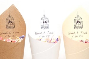 Tweet-heart Confetti Cones