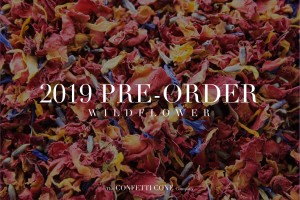 Pre-Order Your Biodegradable Wedding Confetti for 2019