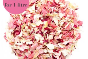 Biodegradable Blush Confetti Mix