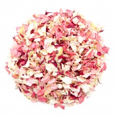 Blush pink Larkspur Petals