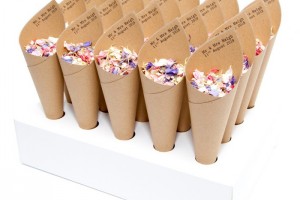 Mr & Mrs Confetti Cones