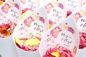 Fleur Confetti Cones