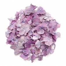 Heather Hydrangea Petals