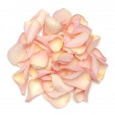 Hint of Pink Rose Petals