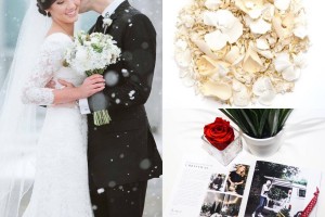 Winter Wedding | Biodegradable Wedding Confetti