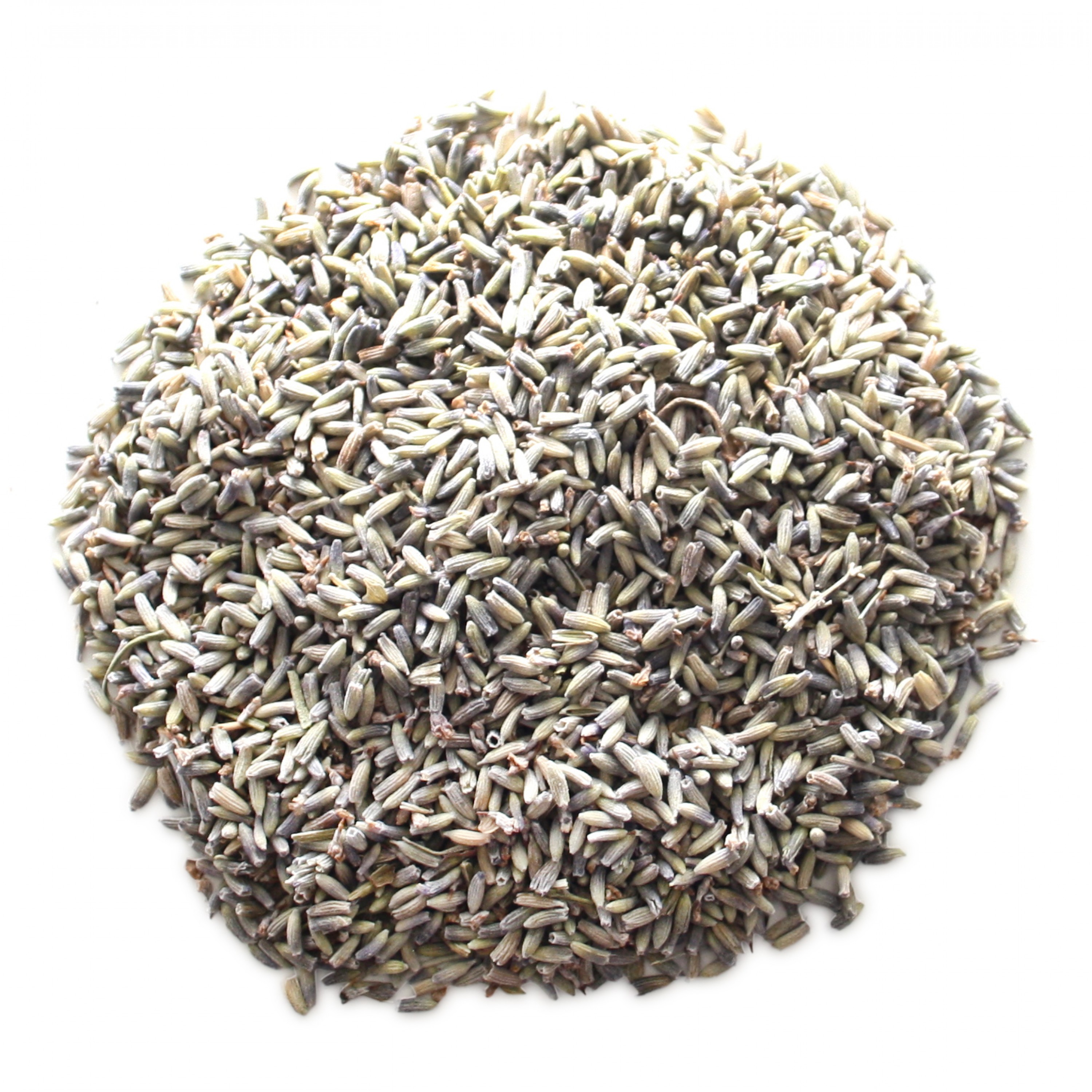 Lavender Grain