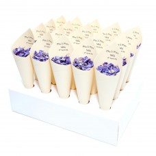 Modern Mr & Mrs Confetti Cone Package