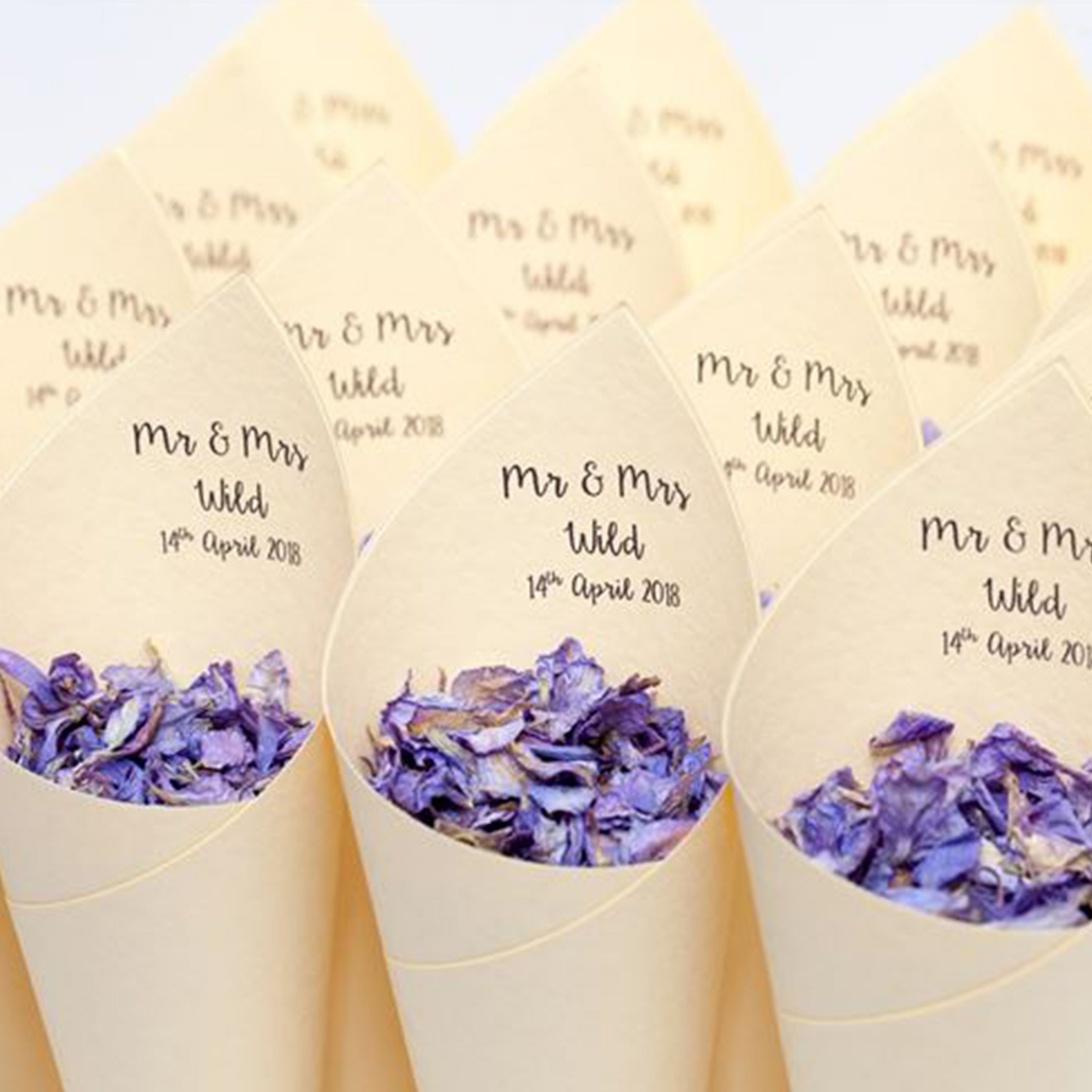 Modern Mr & Mrs Confetti Cones