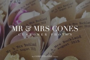 Mr & Mrs Confetti Cones | Biodegradable Wedding Confetti