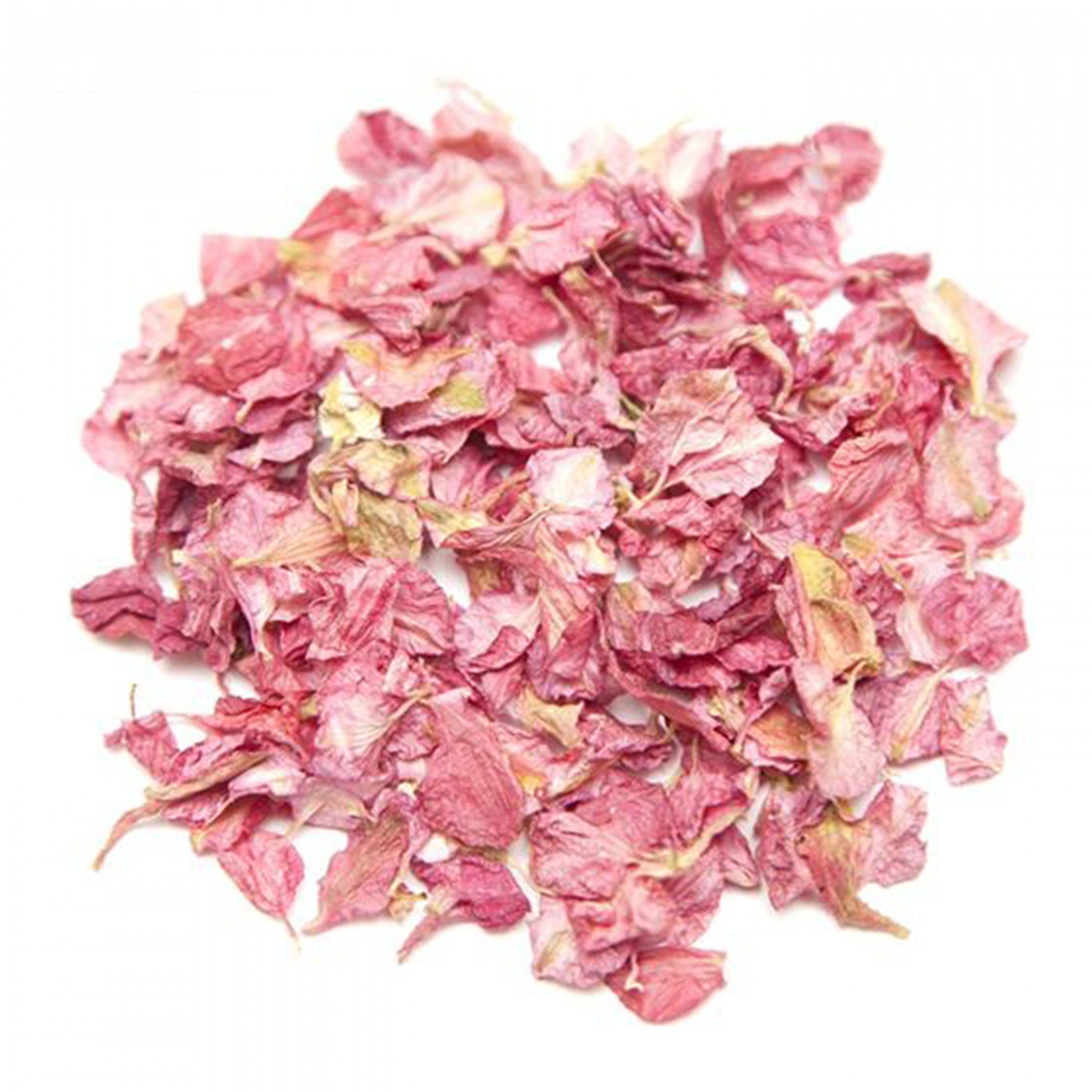 Pink Paradise Larkspur Petals