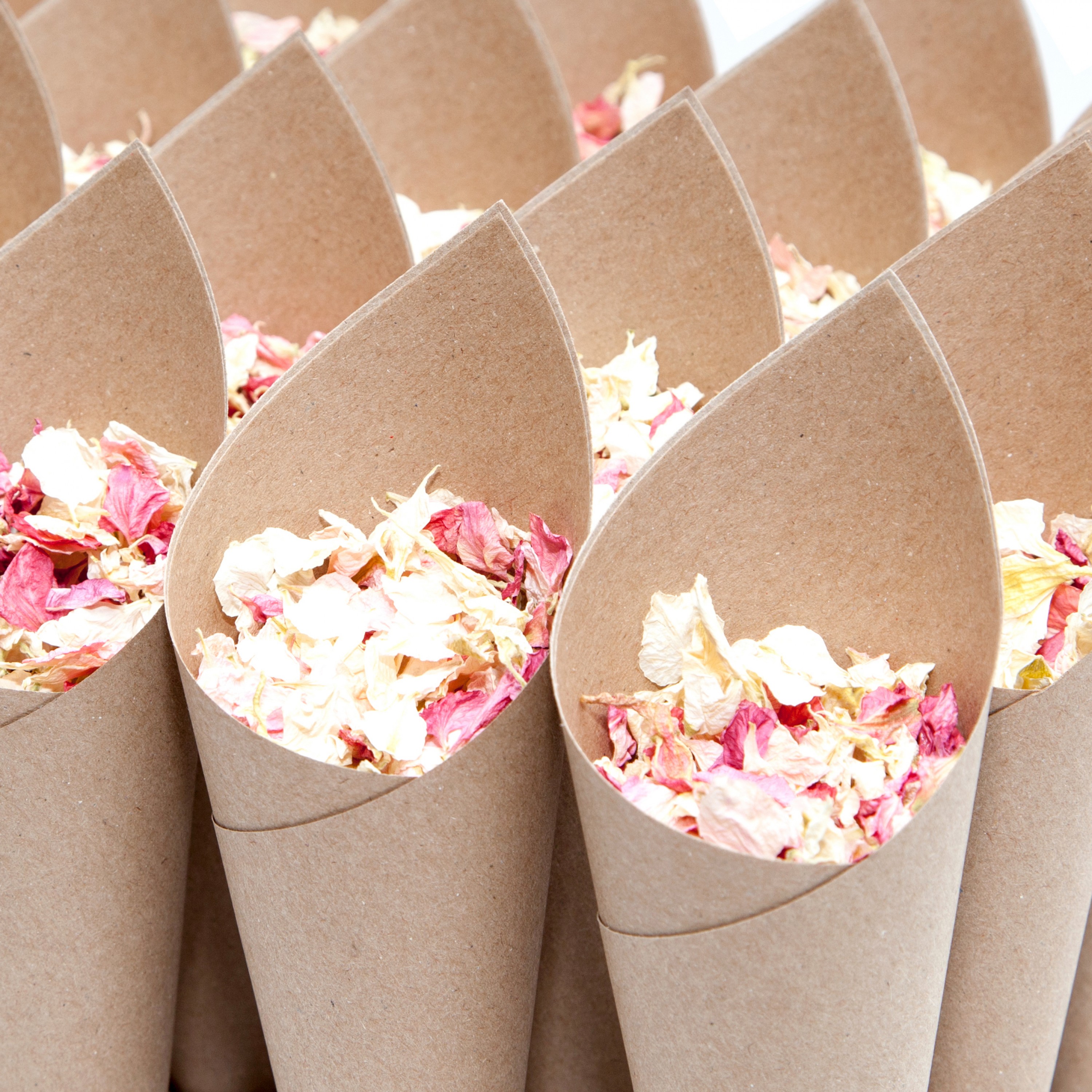 Plain Confetti Cones