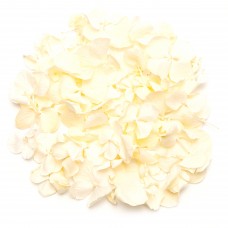Snowdrop Hydrangea Petals