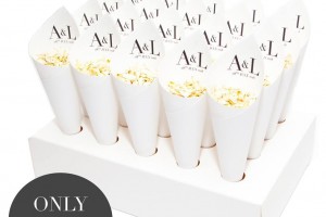 Vogue Confetti Cones