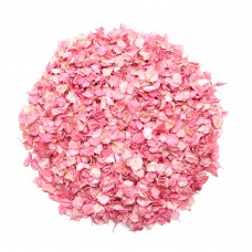 Watermelon Larkspur Petals