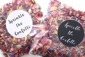 100% Biodegradable Confetti Envelopes
