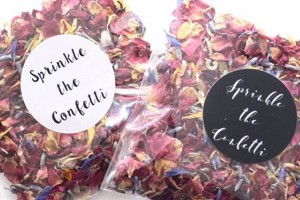 100% Biodegradable Confetti Envelopes