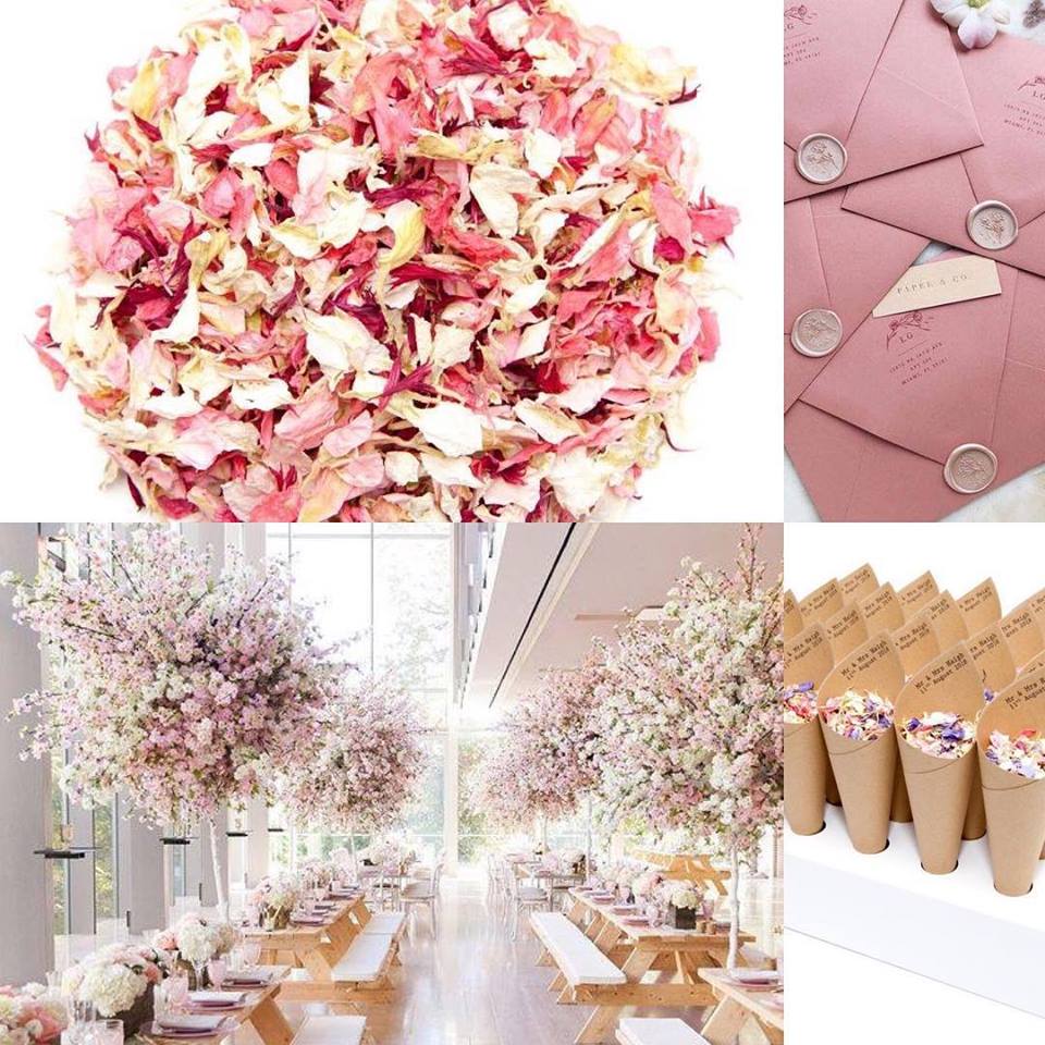 Biodegradable Wedding Confetti and Confetti Cones for Pink/ Blush wedding